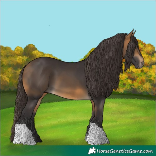 Horse Color:Buckskin Tobiano