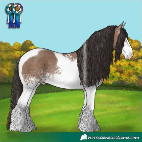 Horse Color:White Spotted Sable Champagne Tobiano 