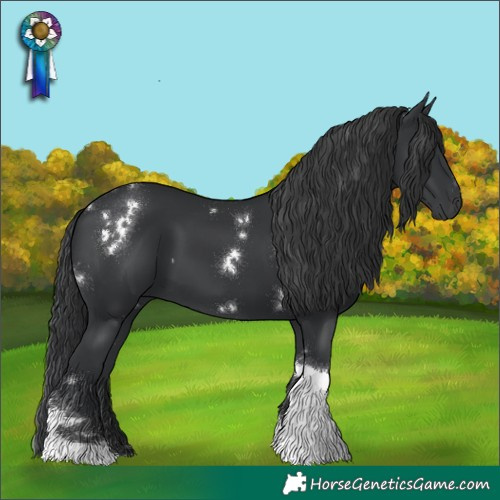 Horse Color:White Spotted Black Tobiano