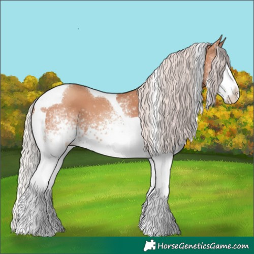 Horse Color:White Spotted Silver Classic Champagne Tobiano