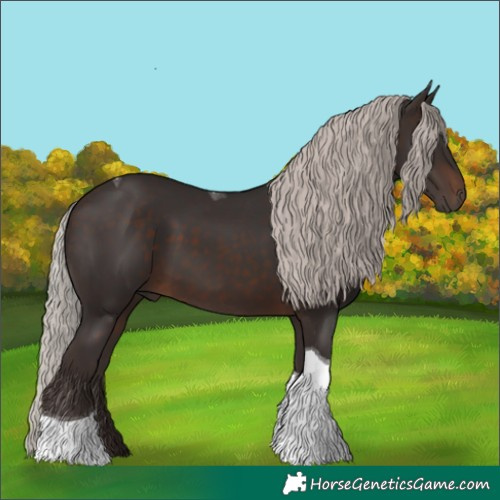 Horse Color:Silver Brown Tobiano