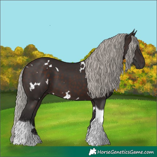 Horse Color:White Spotted Silver Brown Tobiano 