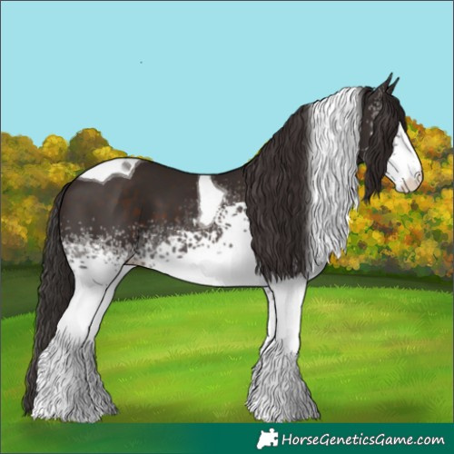Horse Color:White Spotted Liver Chestnut Tobiano 