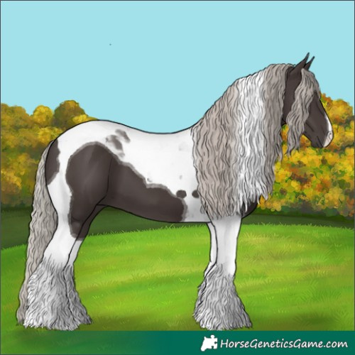 Horse Color:Silver Black Tobiano