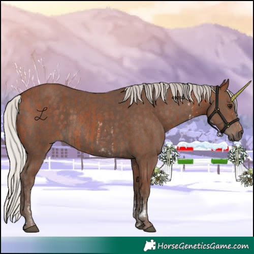 Horse Color:Silver Bay Sabino Rabicano and Silver Black Rabicano