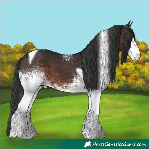 Horse Color:White Spotted Brown Tobiano 