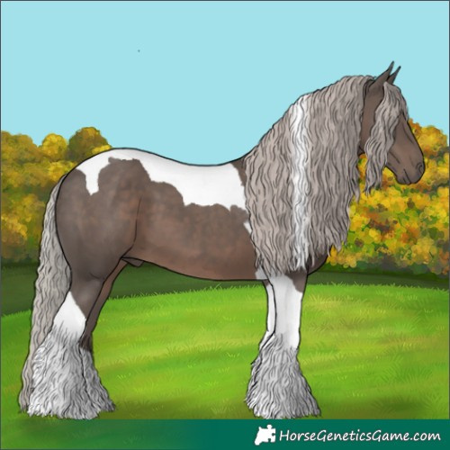 Horse Color:Silver Black Tobiano