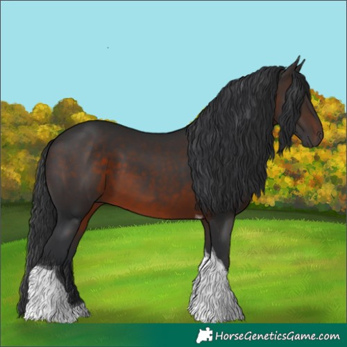 Horse Color:Brown Tobiano