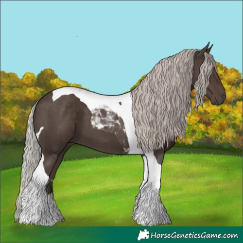Horse Color:Silver Black Tobiano 