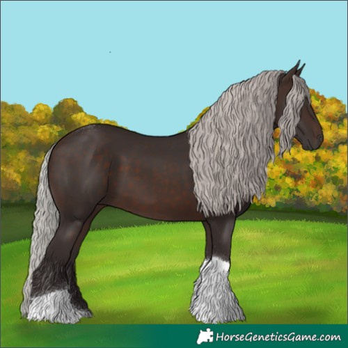 Horse Color:Silver Brown Tobiano 
