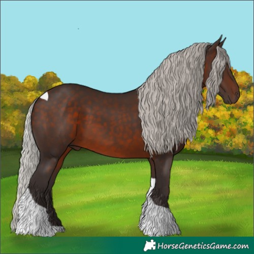 Horse Color:Silver Brown Tobiano