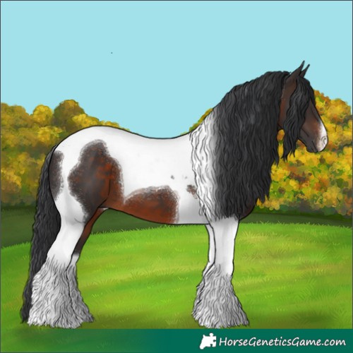 Horse Color:Brown Tobiano