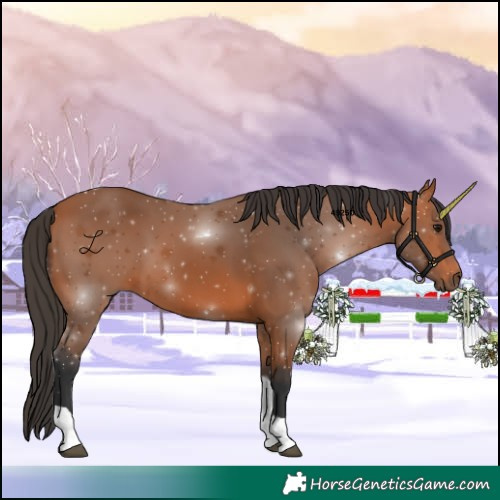 Horse Color:Bay Tobiano