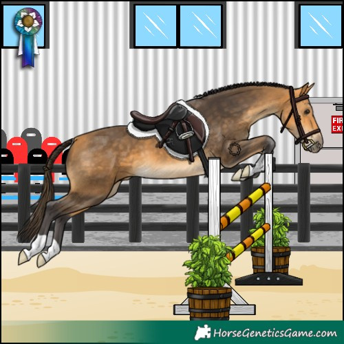 Horse Color:Buckskin 