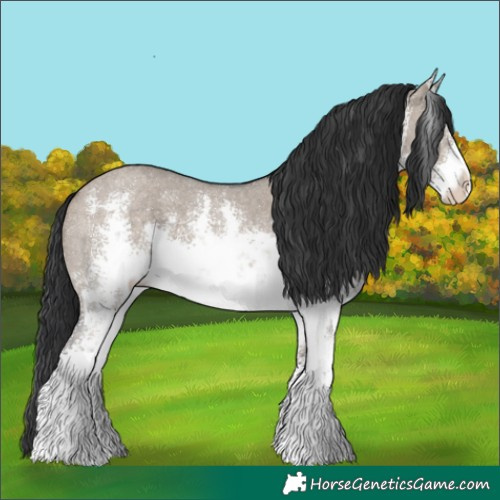 Horse Color:White Spotted Brown Dun Sabino