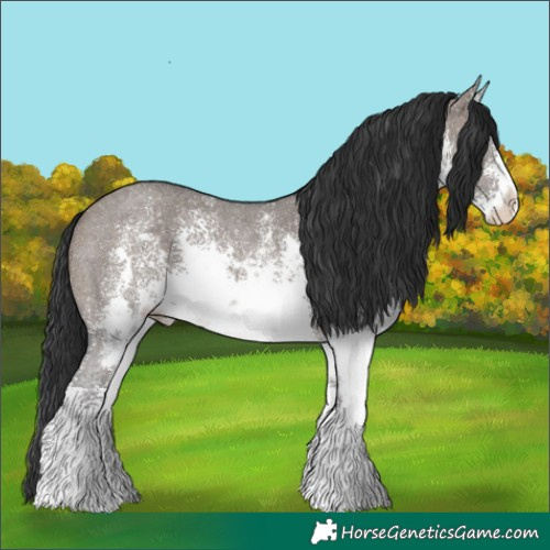 Horse Color:White Spotted Brown Dun Sabino 