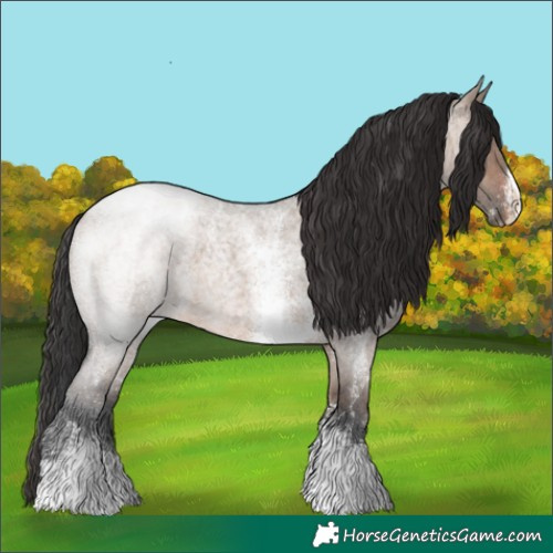 Horse Color:Brown Roan Dun Sabino 