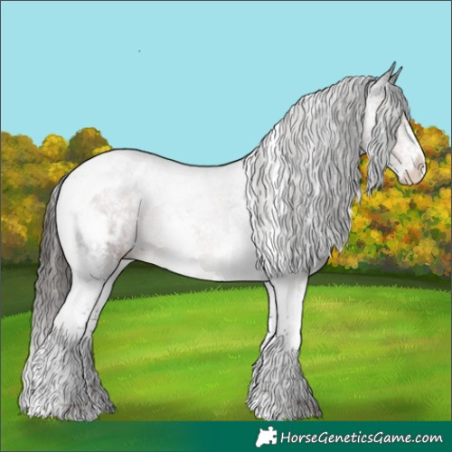 Horse Color:Liver Chestnut Sabino Tobiano Appaloosa 