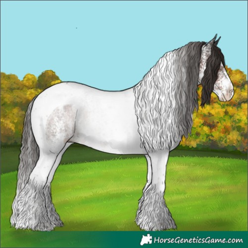 Horse Color:White Spotted Liver Chestnut Tobiano 