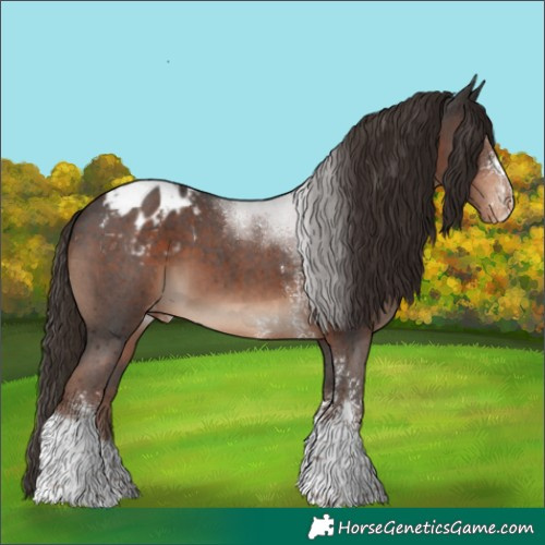 Horse Color:Liver Chestnut Sabino Tobiano Blanket 