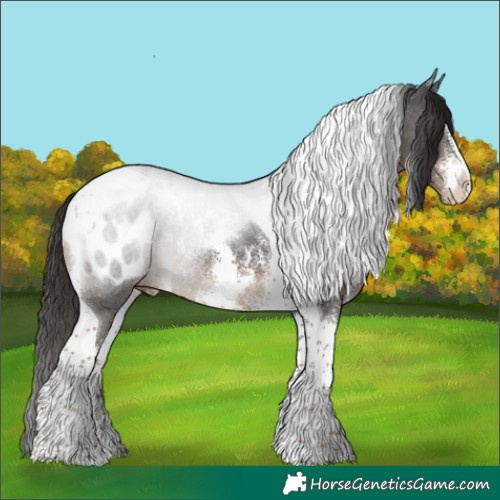 Horse Color:Liver Chestnut Sabino Tobiano Blanket
