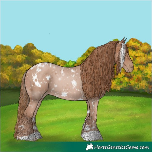 Horse Color:White Spotted Black Pearl 
