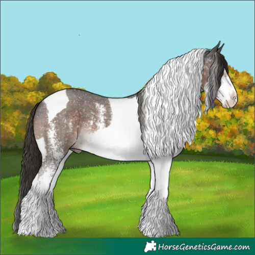 Horse Color:Liver Chestnut Sabino Tobiano 