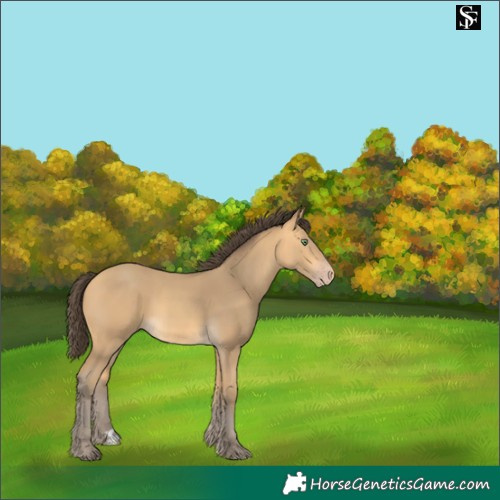 Horse Color:Amber Cream Champagne