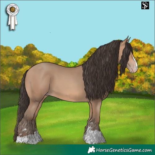 Horse Color:Amber Champagne