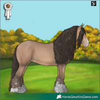 Horse Color:Amber Champagne 