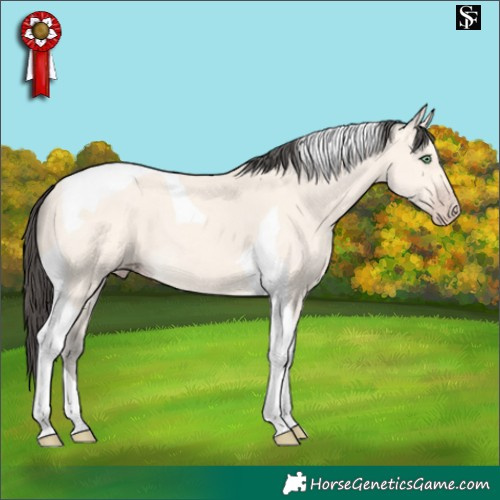 Horse Color:Amber Cream Champagne Tobiano 