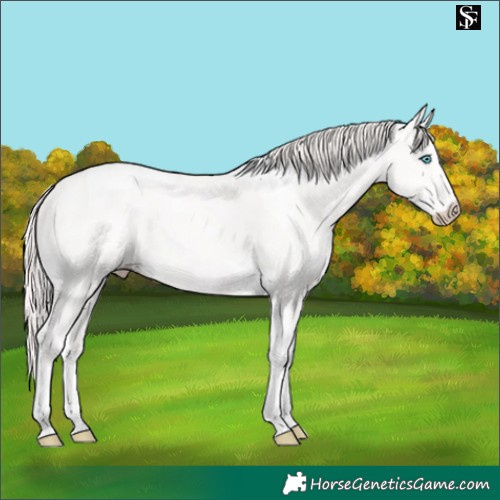 Horse Color:Perlino Tobiano