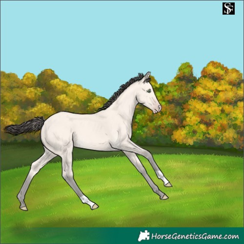 Horse Color:Amber Cream Champagne 