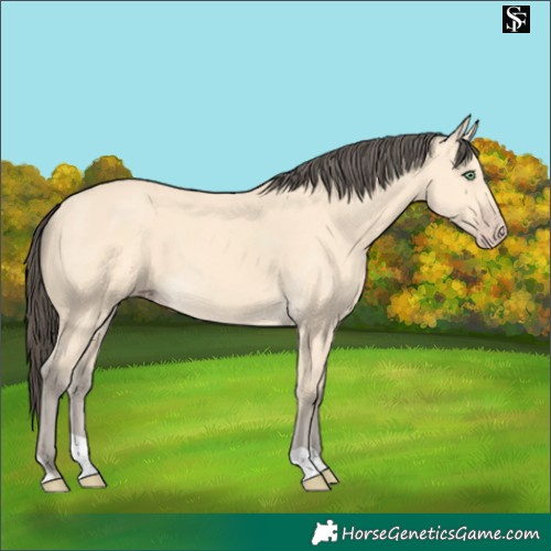 Horse Color:Amber Cream Champagne