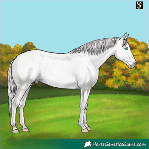 Horse Color:Perlino 