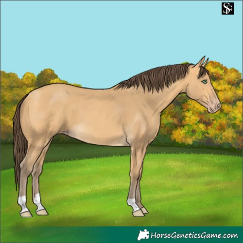 Horse Color:Amber Cream Champagne