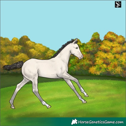 Horse Color:Amber Cream Champagne
