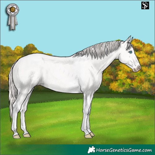 Horse Color:Perlino Tobiano
