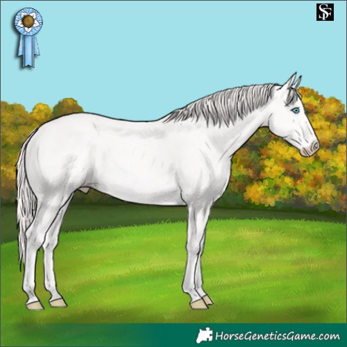 Horse Color:Perlino