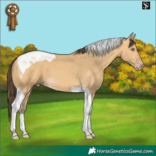 Horse Color:Amber Cream Champagne Tobiano