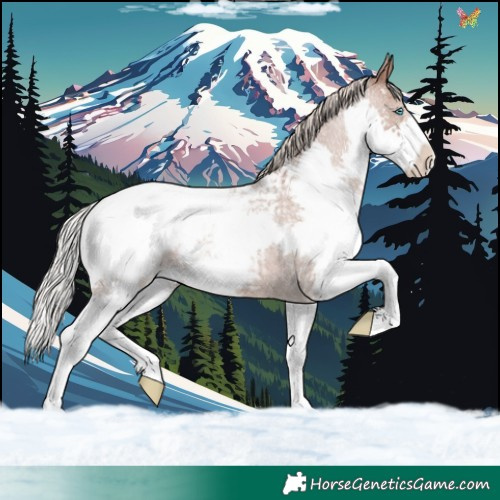 Horse Color:Silver Blue Roan Splash Snowcap