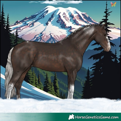 Horse Color:Silver Brown Tobiano Varnish 