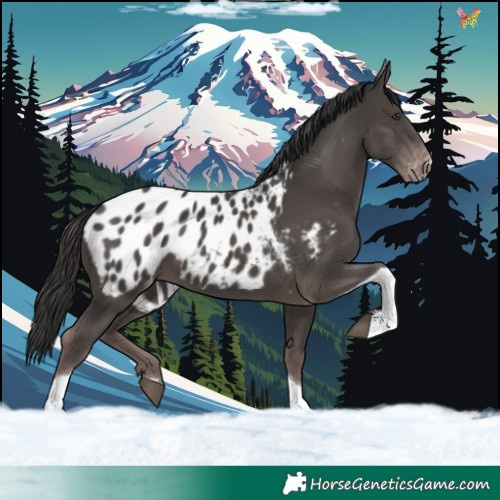 Horse Color:Platinum Liver Chestnut Tobiano Blanket 
