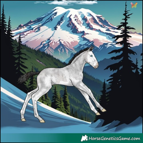 Horse Color:Brown Roan Splash 