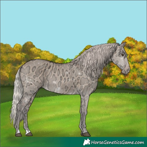 Horse Color:Silver Brown Ice Dun