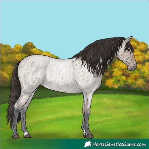 Horse Color:Bay Ice Roan Dun