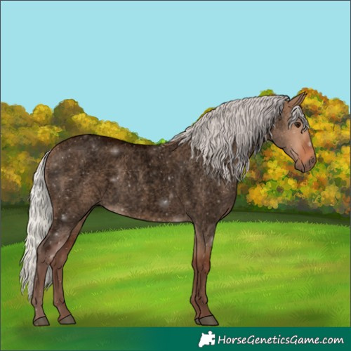 Horse Color:Void Silver Bay Roan Dun 