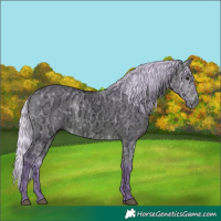Horse Color:Void Watercolor Silver Brown Ice Roan Dun 