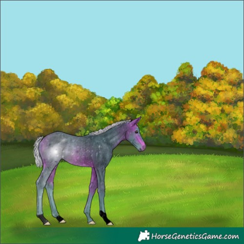 Horse Color:Void Watercolor Silver Bay Roan 
