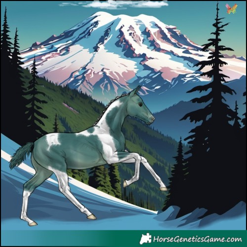 Horse Color:Watercolor Brown Tobiano